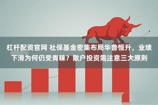 杠杆配资官网 社保基金密集布局华鲁恒升，业绩下滑为何仍受青睐？散户投资需注意三大原则