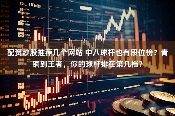 配资炒股推荐几个网站 中八球杆也有段位榜？青铜到王者，你的球杆排在第几档？